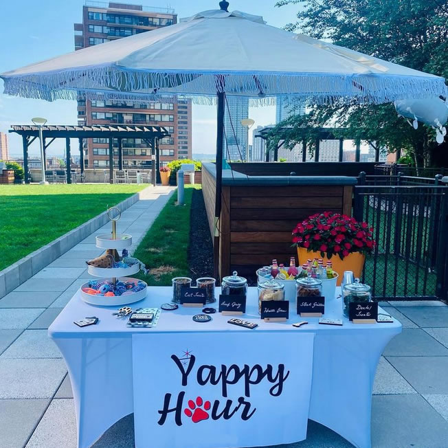 yappy hour square